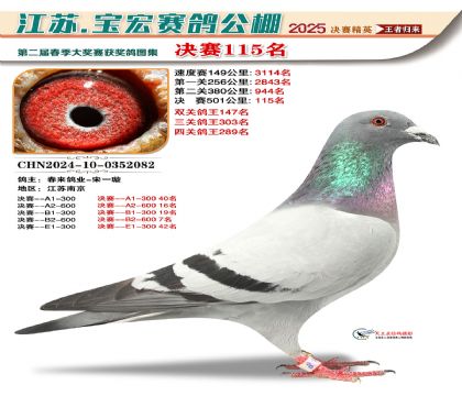 寶宏春棚決賽115名