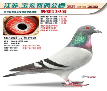 寶宏春棚決賽116名
