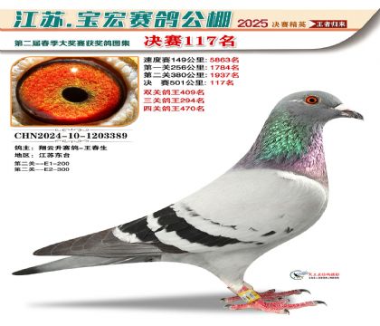 寶宏春棚決賽117名