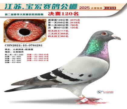 寶宏春棚決賽120名