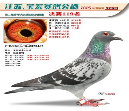 寶宏春棚決賽119名
