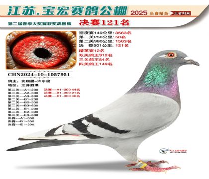 寶宏春棚決賽121名