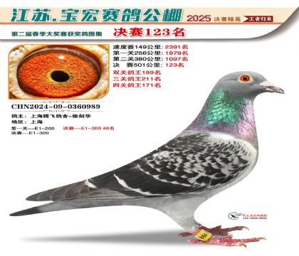 寶宏春棚決賽123名