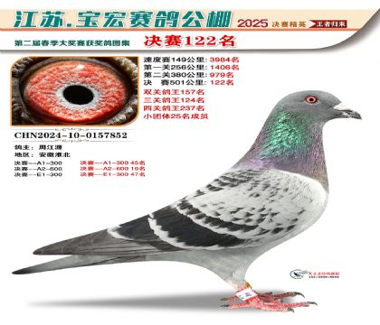 寶宏春棚決賽122名