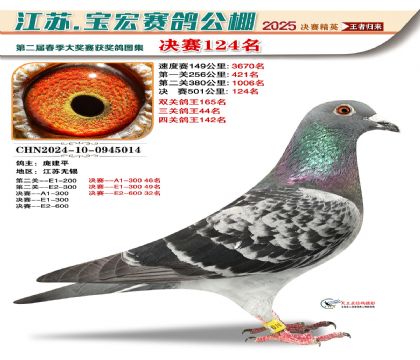 寶宏春棚決賽124名