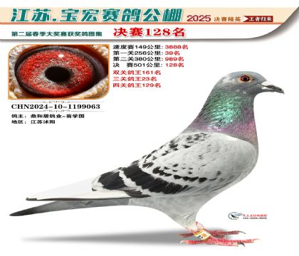 寶宏春棚決賽128名