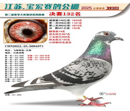 寶宏春棚決賽132名