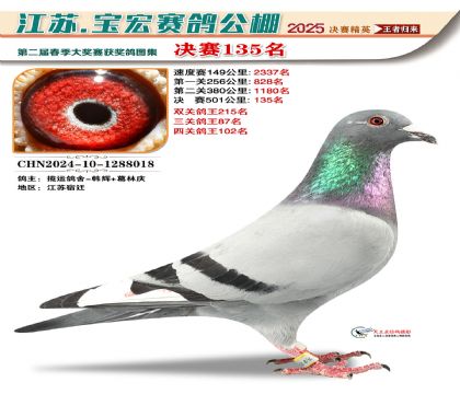 寶宏春棚決賽135名