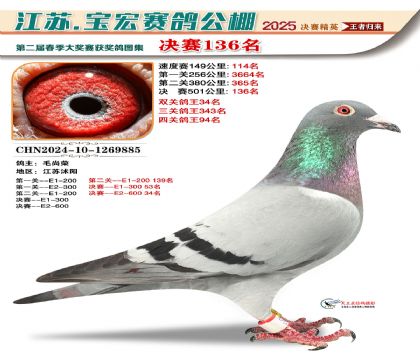 寶宏春棚決賽136名