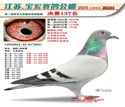 寶宏春棚決賽137名