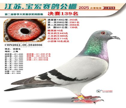 寶宏春棚決賽139名