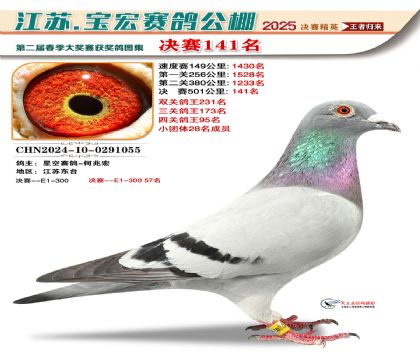 寶宏春棚決賽141名