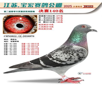 寶宏春棚決賽140名