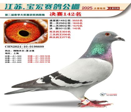 寶宏春棚決賽142名
