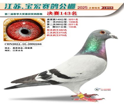 寶宏春棚決賽143名