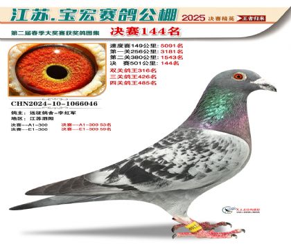 寶宏春棚決賽144名