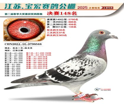 寶宏春棚決賽148名