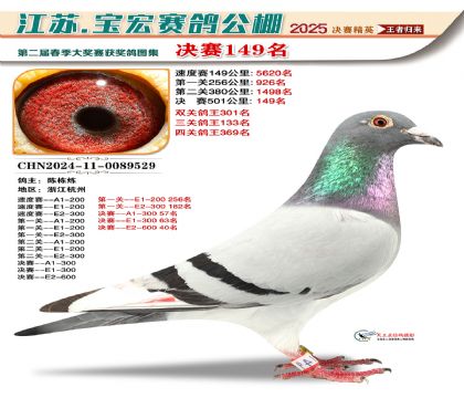 寶宏春棚決賽149名