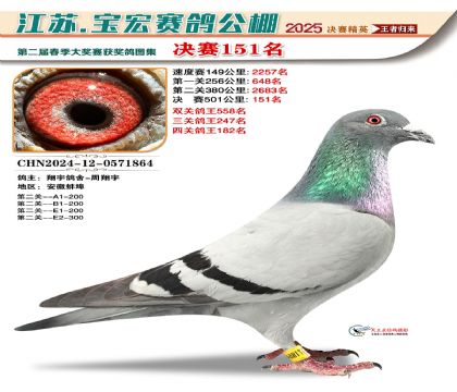 寶宏春棚決賽151名