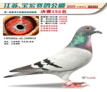 寶宏春棚決賽152名