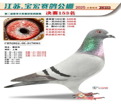 寶宏春棚決賽153名