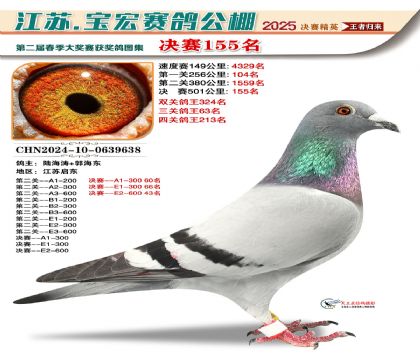 寶宏春棚決賽155名