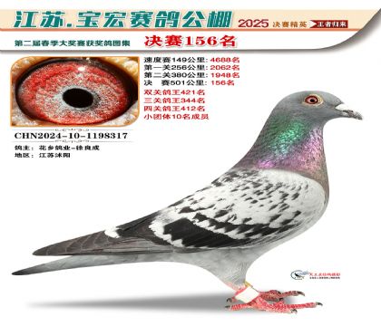 寶宏春棚決賽156名