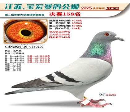 寶宏春棚決賽158名