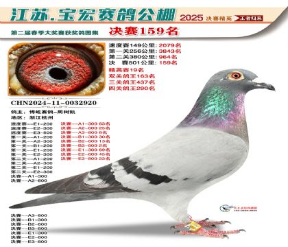 寶宏春棚決賽159名