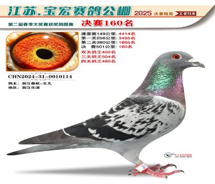 寶宏春棚決賽160名