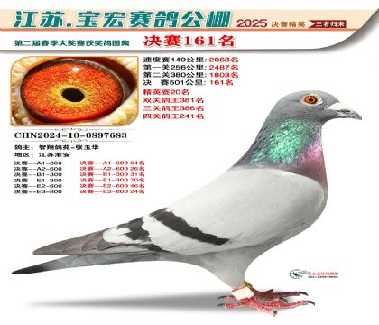 寶宏春棚決賽161名