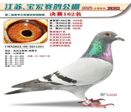 寶宏春棚決賽162名