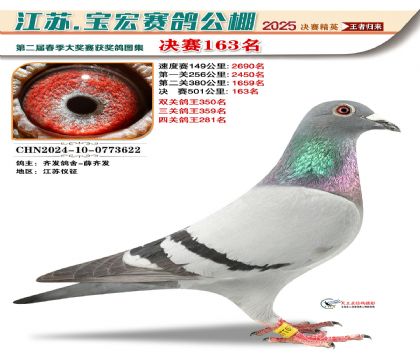 寶宏春棚決賽163名