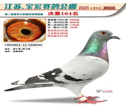 寶宏春棚決賽164名