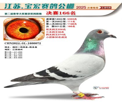 寶宏春棚決賽166名