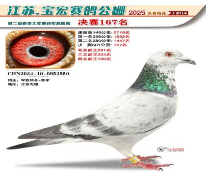 寶宏春棚決賽167名