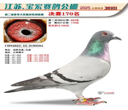 寶宏春棚決賽170名