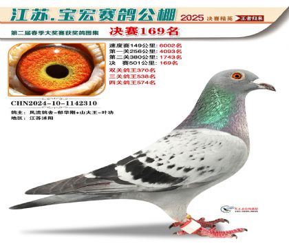 寶宏春棚決賽169名