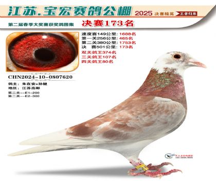 寶宏春棚決賽173名