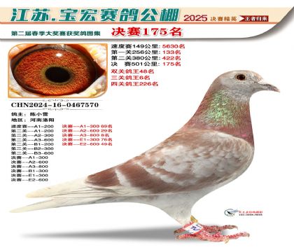 寶宏春棚決賽175名