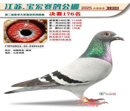 寶宏春棚決賽176名