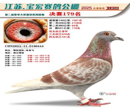 寶宏春棚決賽179名