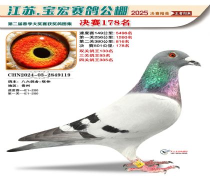 寶宏春棚決賽178名