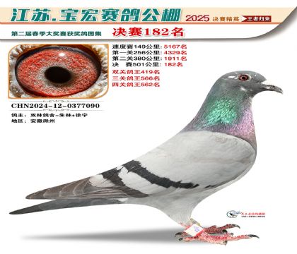 寶宏春棚決賽182名