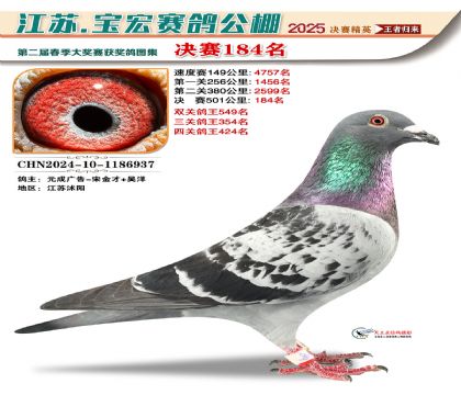寶宏春棚決賽184名