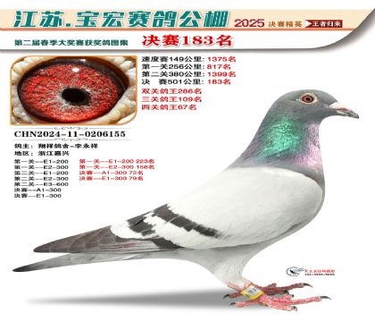 寶宏春棚決賽183名