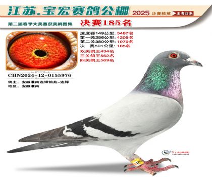 寶宏春棚決賽185名