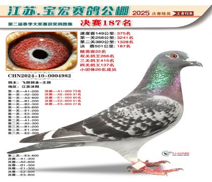 寶宏春棚決賽187名