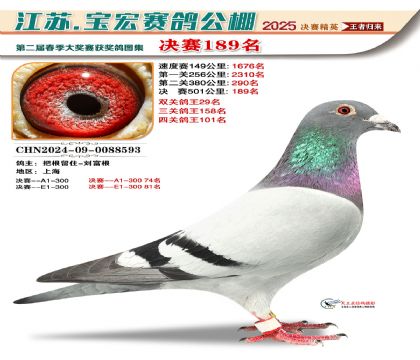 寶宏春棚決賽189名