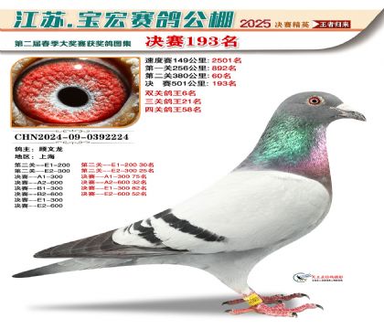 寶宏春棚決賽193名